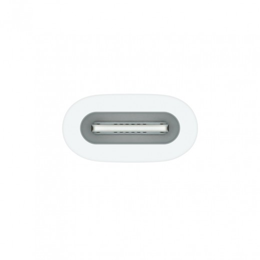 Buy Apple Pencil (1st Gen) with USBC to Apple Pencil Adapter