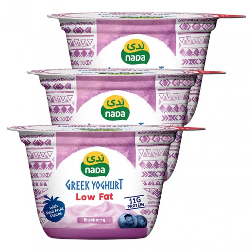 Nada Low Fat Blueberry Greek Yoghurt 3 x 160 g