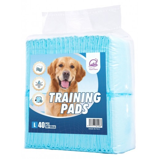 Haisenpet Puppy 60 Cm x 60 Cm Training Pads 40 Pieces