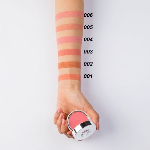 Buy Pupa Extreme Blush Matt Compact Blush 4 g - 002 Pop Brown ...