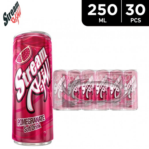 Stream Pomegranate Soft Drink 30×250 ml - delivered by Taw9eel Fast