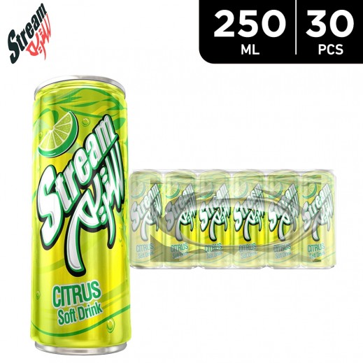 Stream Citrus Soft Drink 30×250 ml - delivered by Taw9eel Fast
