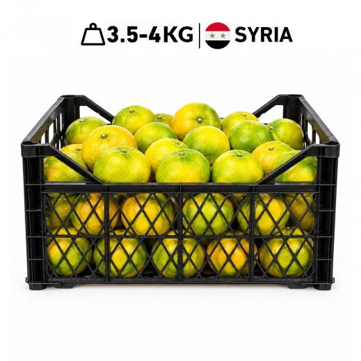Fresh Syrian Navel Orange Basket 3.5 - 4kg Approx.
