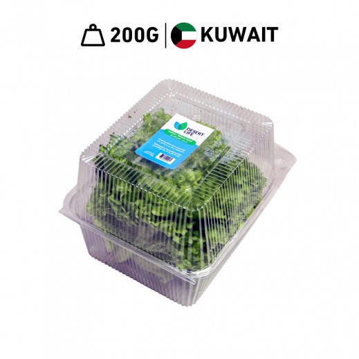 Fresh Hydroponically Grown Assorted Kuwaiti Lollo Bionda Lettus (200g Approx.)