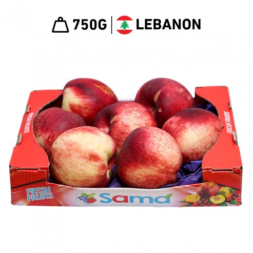 Fresh Lebanese Nectarine Box 750g Approx.