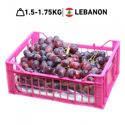 Fresh Lebanese Red Seedless Grapes Basket 1.500 - 1.750 kg Approx