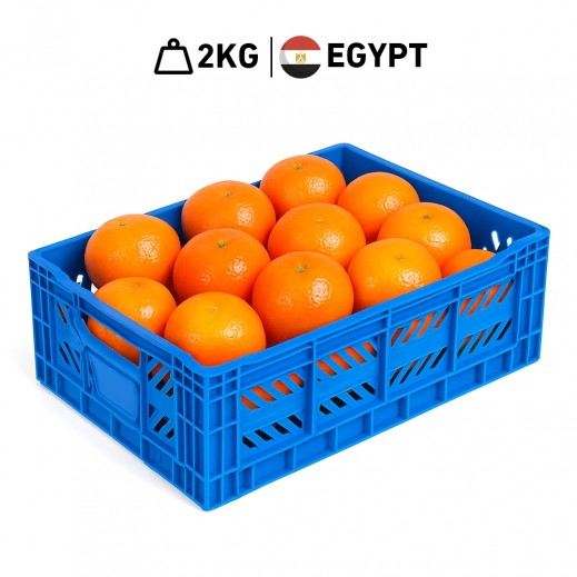Fresh Egyptian Sweet Clementine Basket 2 kg Approx
