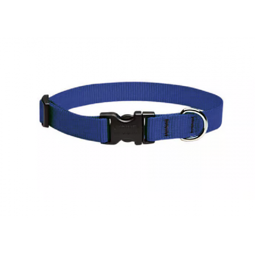 Lupine Pet Basic Solids Blue Nylon Dog Adjustable Collar - Small - delivered by Taw9eel within 1 working day 