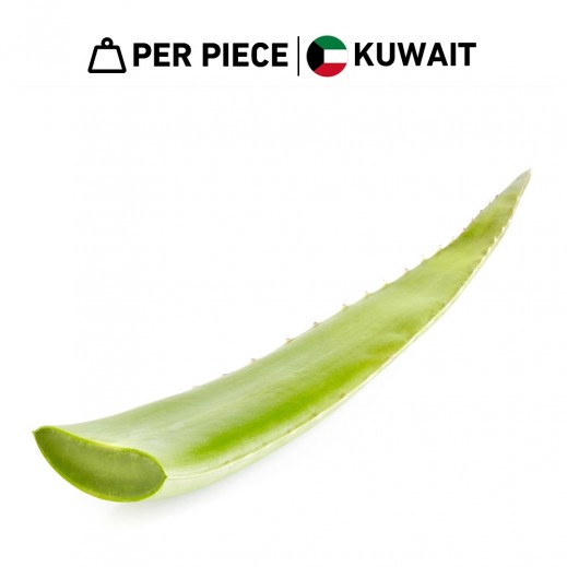 Fresh Kuwaiti Aloe Vera Leaves Al Shamiah Farm Piece