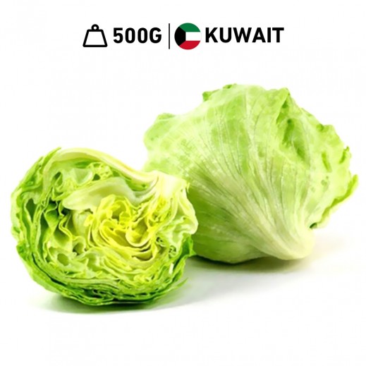 Fresh Kuwaiti Iceberg Lettuce Al Shamiah Farm 500 g Approx. - delivered by Taw9eel Fast