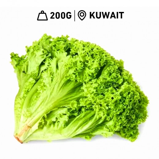 Fresh Kuwaiti Lettuce Lollo Bindo 1 Piece (200 g Approx)