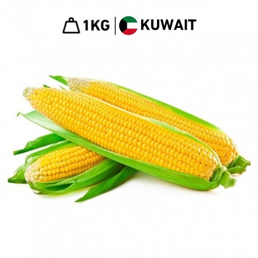 Fresh Kuwaiti Sweet Corn (1 kg Approx.) - delivered by Taw9eel Fast