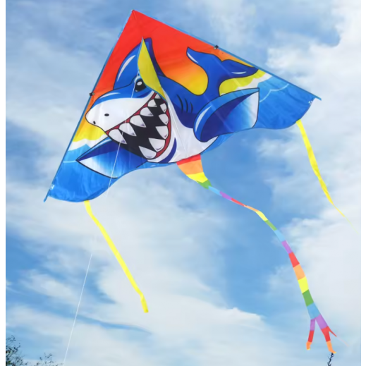 Design Shark Kite For Unisex 3-10 Years - delivered by within 24 Hours 