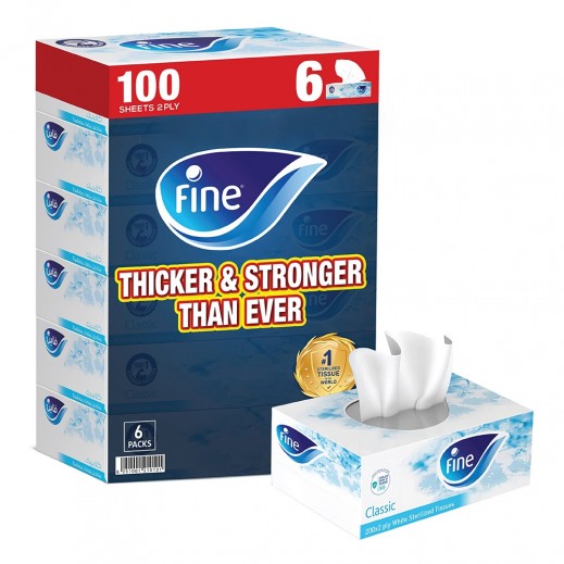 Fine Sterilized 2 Ply Facial Tissues 100 Sheets 6 Boxes - delivered by Taw9eel Fast