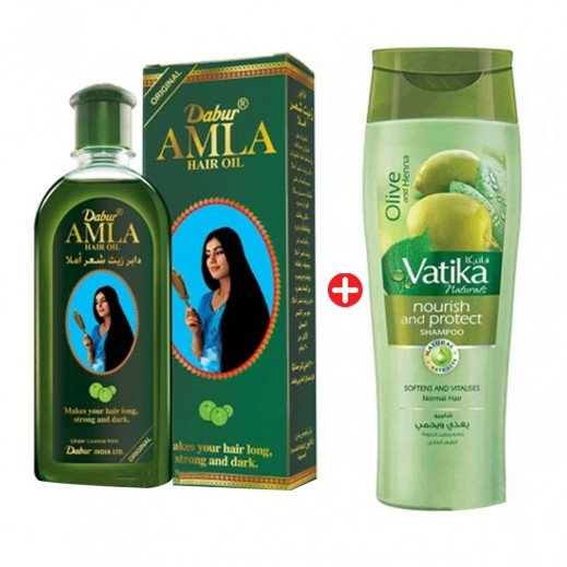 Dabur Amla Hair Oil 500 ml + Nourish & Protect Shampoo 200 ml