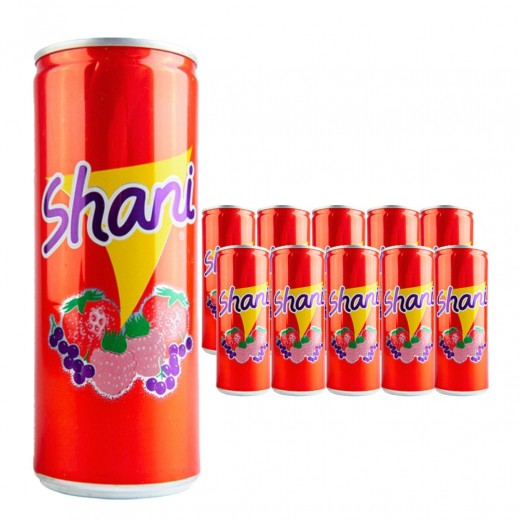 Shani Fruit Drink Can 10 x 250 ml - delivered by Taw9eel Fast