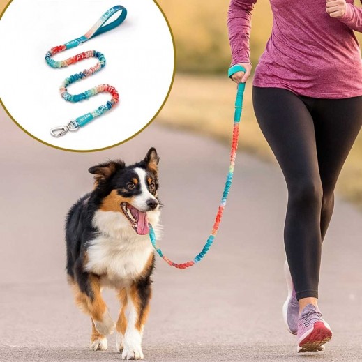 Bungee Dog Leash115 × 175 × 2.5 Cm - delivered by Taw9eel Fast