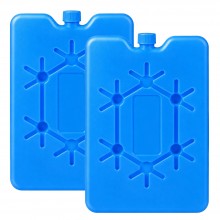 Reusable Cooler Bag 2 Pieces