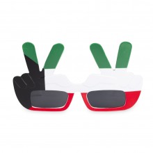 National Day Eagle Sunglasses