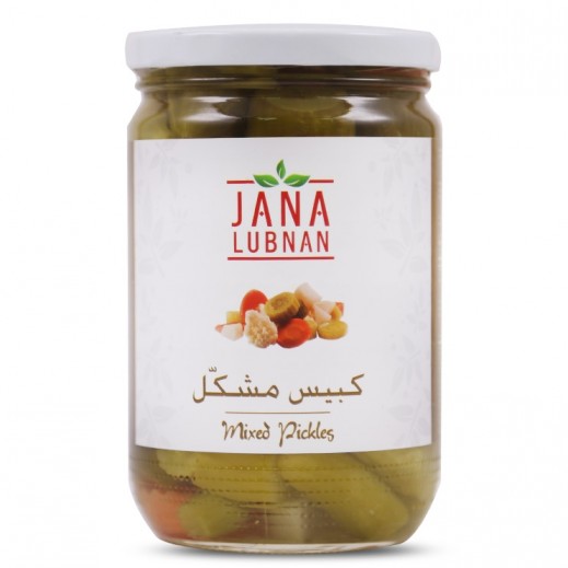 جنى لبنان – كبيس مشكل 660 جم  - يتم التوصيل بواسطة توصيل فاست