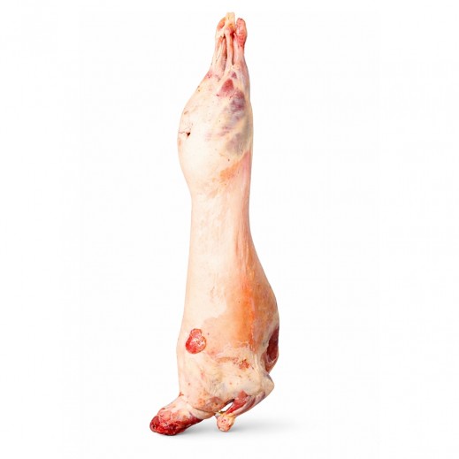 المواشي خروف إثيوبي طازج مبرد 10 كجم تقريبا. - يتم التوصيل بواسطة المواشى خلال 24 ساعه عمل 