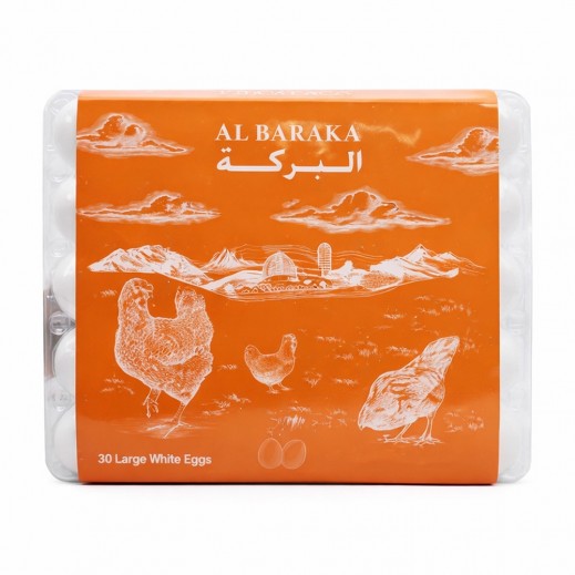 البركة بيض أبيض حجم كبير 30 قطعة