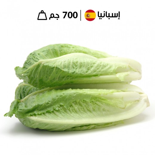 خس إفرنجي إسباني طازج (700 جم تقريبا) - يتم التوصيل بواسطة توصيل فاست