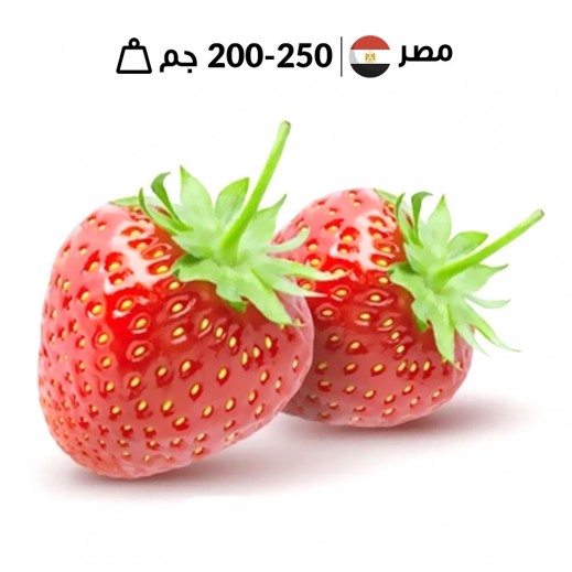فراولة مصريّة طازجة (200 جم - 250 جم)  