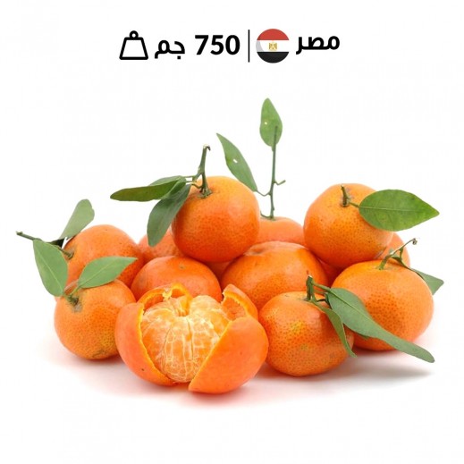 يوسفي مصري طازج (750 جرام تقريبًا) - يتم التوصيل بواسطة توصيل فاست