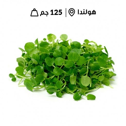 اشتري سيسو أخضر طازج (هولندا) 125 جم | توصيل Taw9eel.com