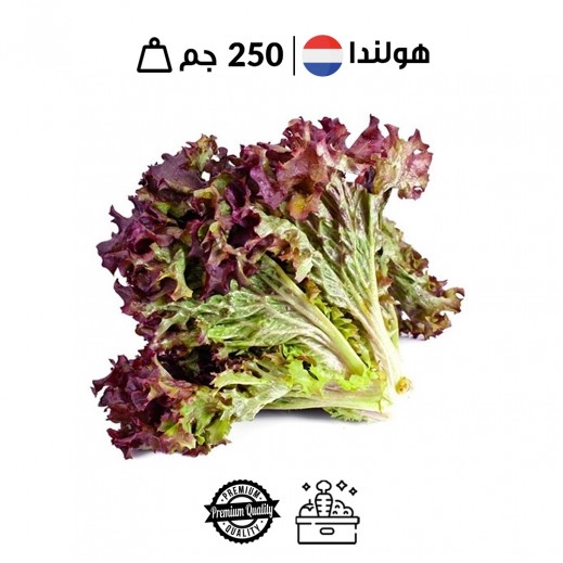 خس لولو روسو هولندي طازج (250 جم تقريباً)