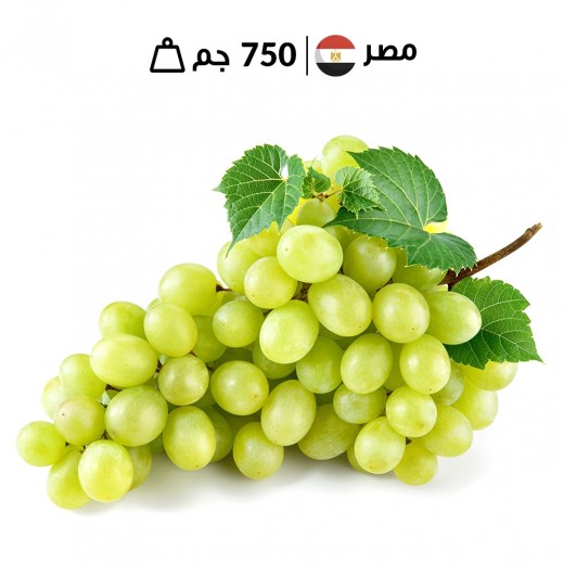 عنب أبيض مصري طازج 750 جم تقريبًا - يتم التوصيل بواسطة توصيل فاست