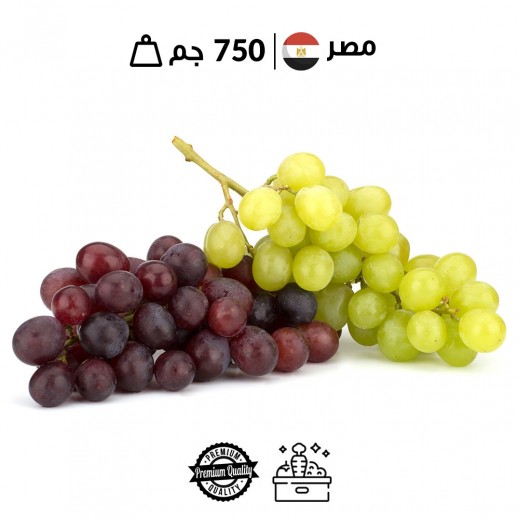 عنب مصري مشكل طازج ( 750 جم تقريبا)