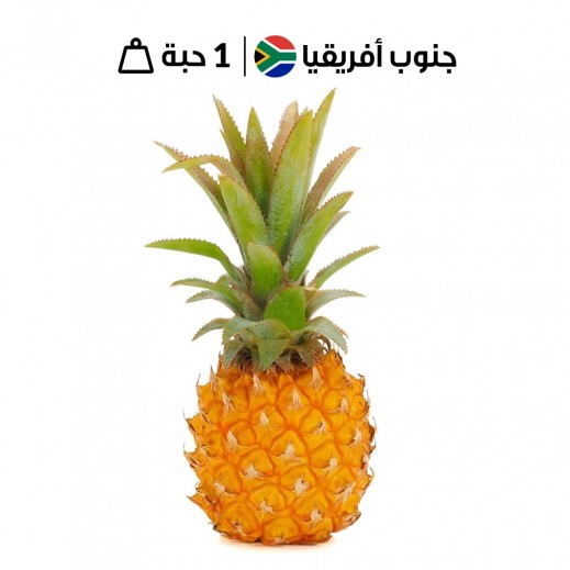 أناناس صغير جنوب أفريقي طازج (1 حبة) 