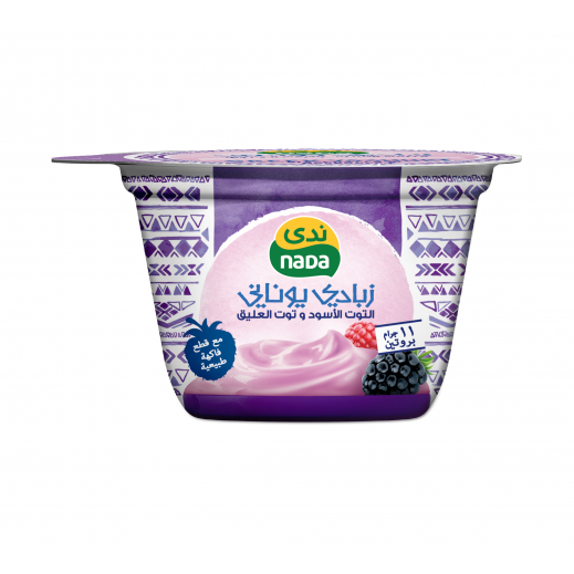 ندى - زبادي يوناني بالتوت الأسود وتوت العليق - 160 جم - يتم التوصيل بواسطة توصيل فاست