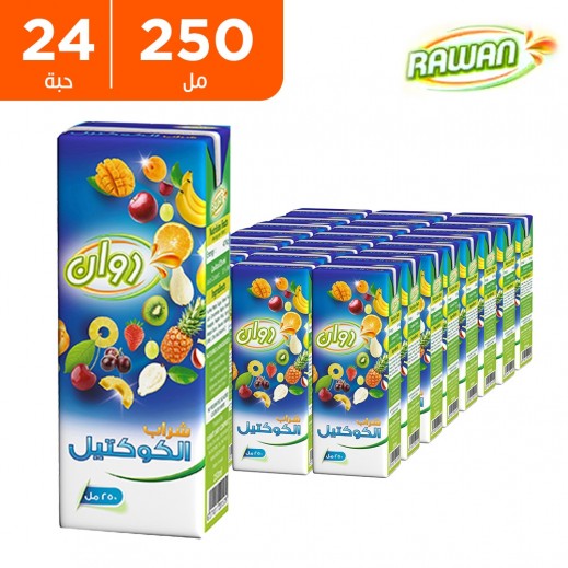 روان - عصير شراب كوكتيل 24×250 مل 
