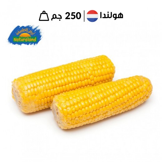 ارض الطبيعه - ذرة حلوة عضوية طازجة 250 جم
