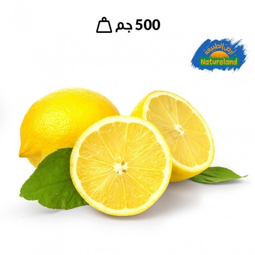 أرض الطبيعة - ليمون طازج (500 جم تقريبًا)