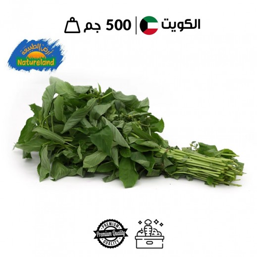 أرض الطبيعة ملوخية عضوية طازجة 500 جم 