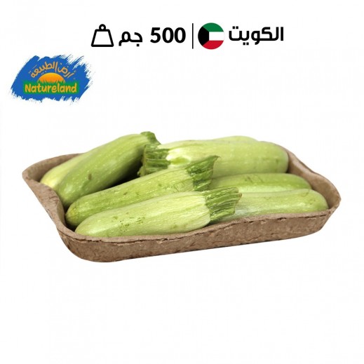 أرض الطبيعة - علبة كوسة طازجة 500 جم   - يتم التوصيل بواسطة توصيل فاست
