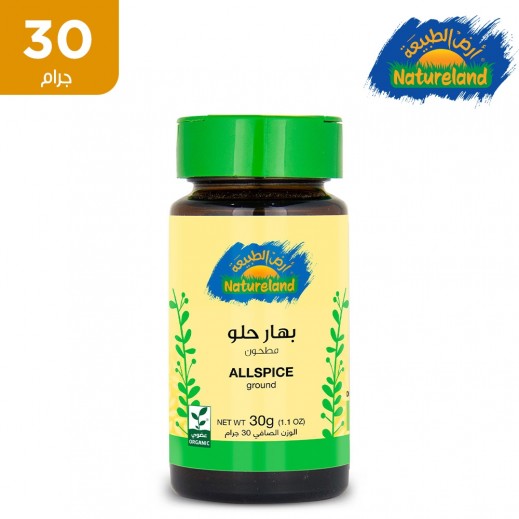 أرض الطبيعة - بهار حلو 30 جم
