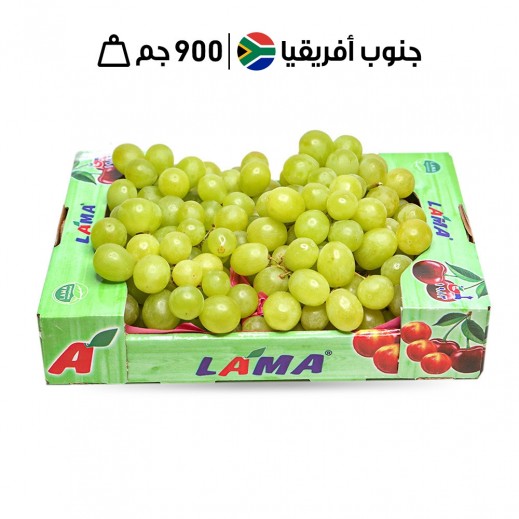 لاما - صندوق عنب أبيض جنوب أفريقي (900 جم تقريبًا) - يتم التوصيل بواسطة توصيل فاست