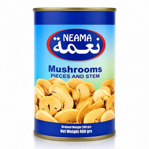 نعمه فطر مقطع 400 جم