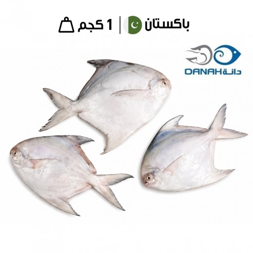 دانة سمك زبيدي باكستاني طازج حجم متوسط 1 كجم - يتم التوصيل بواسطة اسماك الدانه خلال 6 ساعات عمل