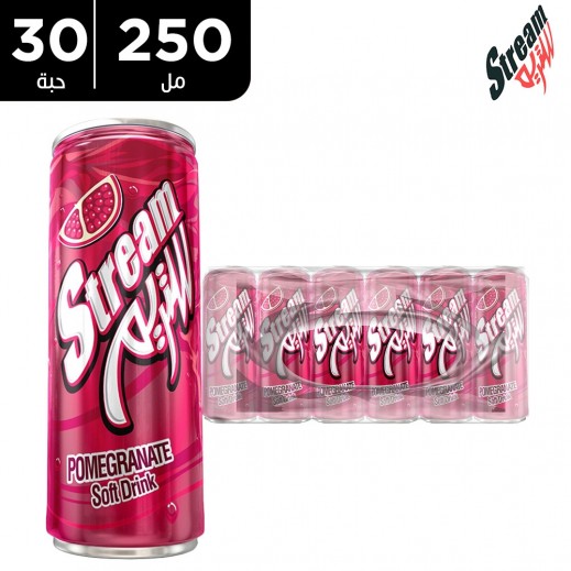 ستريم - مشروب غازي بنكهة الرمان 30×250 مل - يتم التوصيل بواسطة توصيل فاست