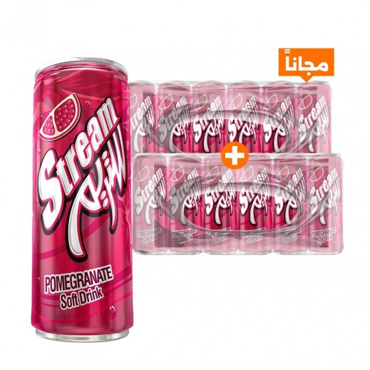 ستريم مشروب غازي بنكهة الرمان 30 × 250 مل 1+1 مجاناً