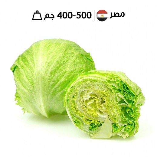 خس مصري طازج 400 - 500 جرام تقريبا - يتم التوصيل بواسطة توصيل فاست