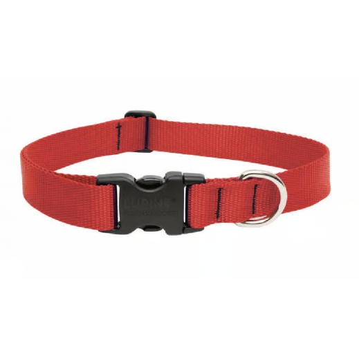 لوباين بت بيزيك سوليد طوق كلب نايلون أحمر قابل للتعديل – متوسط الي كبير  - يتم التوصيل بواسطة Taw9eel within 1 working day 