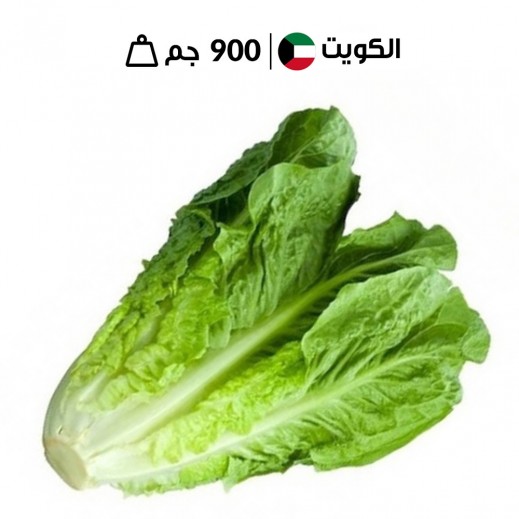 خس روماني كويتي طازج من مزارع الشامية - 900 جم تقريبًا - يتم التوصيل بواسطة توصيل فاست