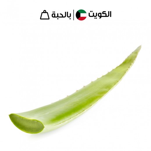 أوراق الصبار الكويتية الطازجة من مزارع الشامية - 1 حبة - يتم التوصيل بواسطة توصيل فاست